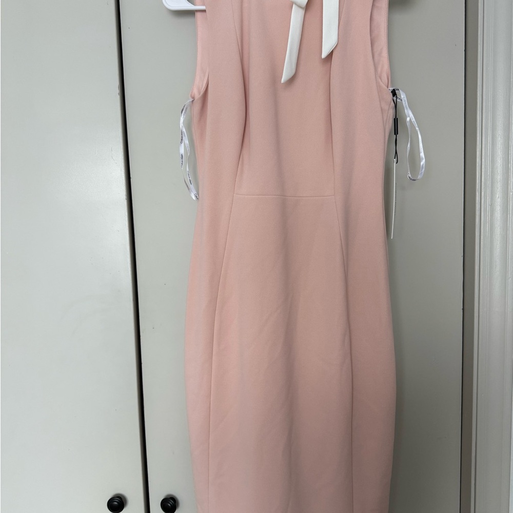 Calvin Klein Soft Pink Dress